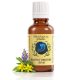 Gastro Tincture – Za želudac, žgaravicu i probavu (30ml)
