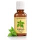 Kopriva Tincture – Za energiju, krv i zdravlje kože (30ml)