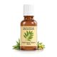 List Masline Tinktura – Za imunitet, pritisak i šećer (30ml)