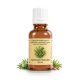 Ruzmarin Tincture – Biljne kapi za pamćenje, fokus i cirkulaciju